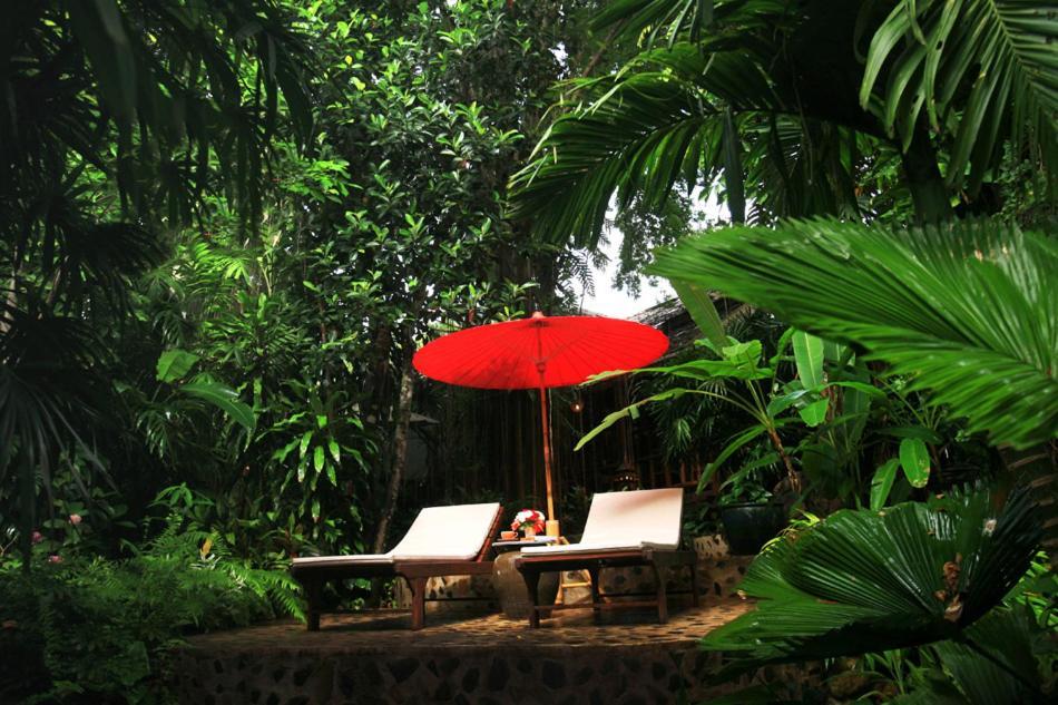 Ban Pak Yang Rain Forest Resort المظهر الخارجي الصورة